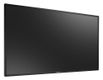 AG neovo PD-55Q 138,7cm(55") LED black (Speditionsversand)