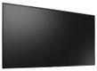 AG neovo PD-65Q 165,1cm(65") LED black (Speditionsversand)