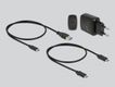 DELOCK M.2 Dockingstation 2x M.2 NVMe PCIe SSD Klon Funktion