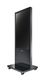 AG neovo PF-55H 138,7cm(55") Einseitige Signage Stele (Speditionsversand)