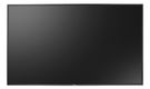 AG neovo PD-65Q 165,1cm(65") LED black (Speditionsversand)