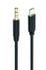 2GO Audiokabel AUX/MP3 USB-C - Stereo 100cm schwarz