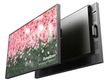 DynaScan DS491LT5-1 124,46cm (49") High Brightness (Speditionsversand)