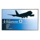 AG neovo PD-65Q 165,1cm(65") LED black (Speditionsversand)