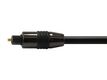 Equip Audiokabel Toslink SPDIF St/St 1.80m schwarz Polybeutel
