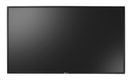 AG neovo PD-55Q 138,7cm(55") LED black (Speditionsversand)