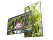 DynaScan DS861LR4 218,44cm (86") High Brightness (Speditionsversand)